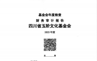 四川省玉阶文化基金会2023年度财务审计报告